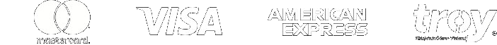 Visa Mastercard Amex Troy